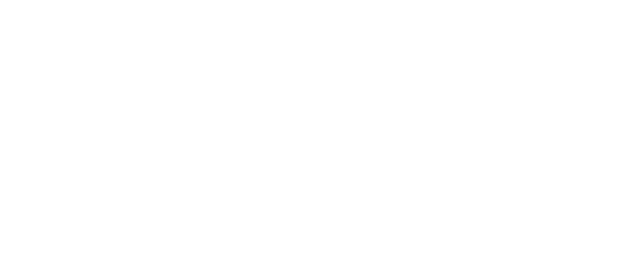 Magnifica Swag Store